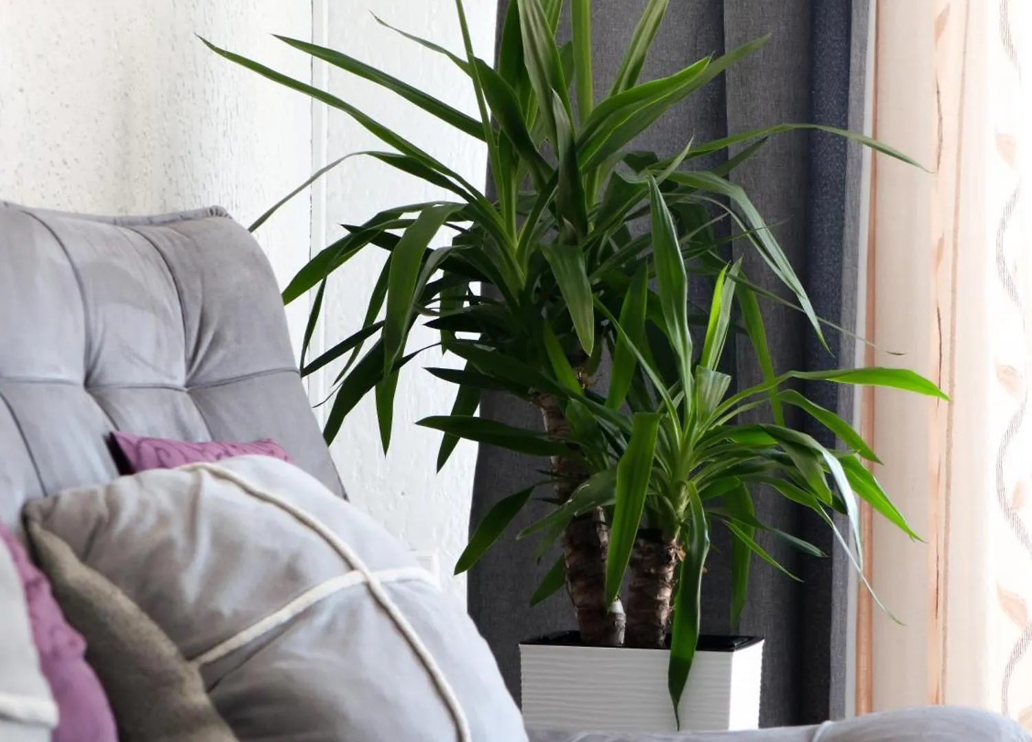 Apartment Luna Rijeka 0*,